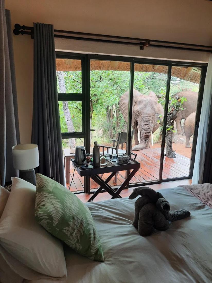 Lions Place Grietjie Game Reserve Extérieur photo