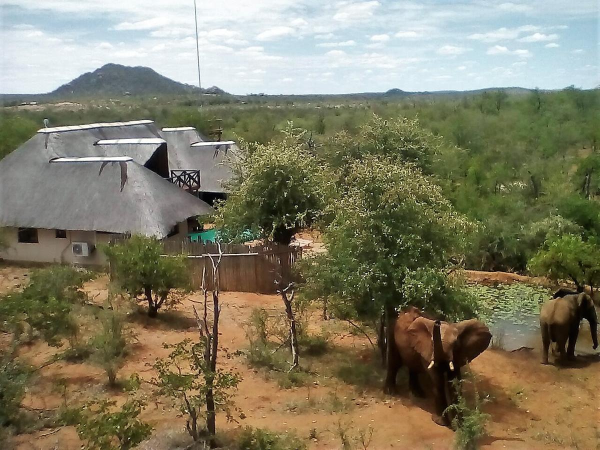 Lions Place Grietjie Game Reserve Extérieur photo