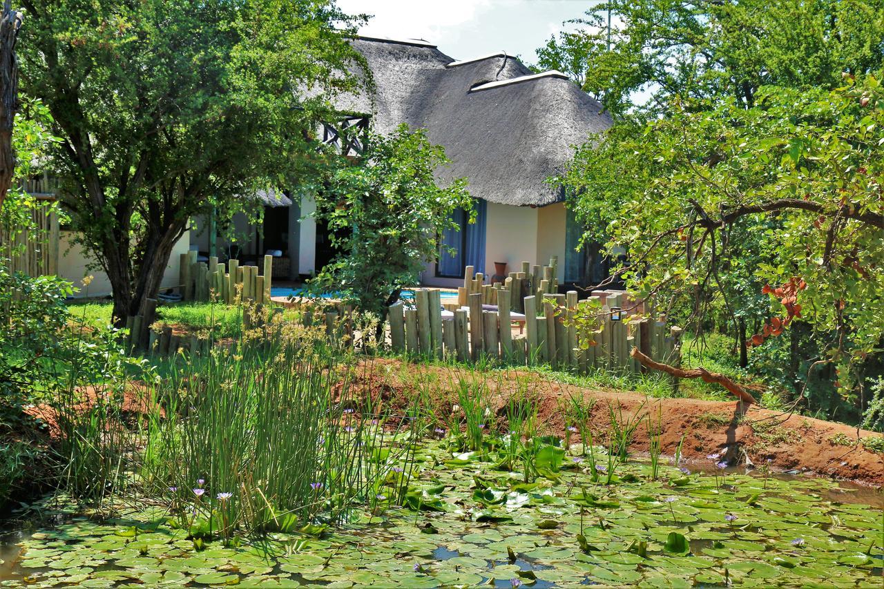 Lions Place Grietjie Game Reserve Extérieur photo