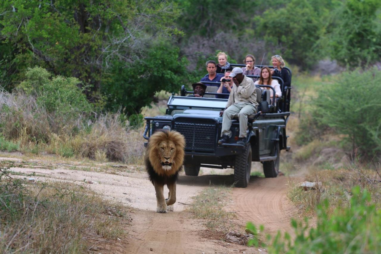Lions Place Grietjie Game Reserve Extérieur photo